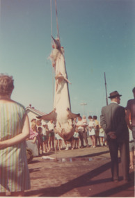 Photograph - Australian Anglers Association Carnival and Convention Lakes Entrance c1955