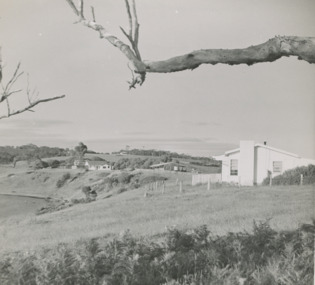 Photograph - " Corumbene"  Carpenter Street Lakes Entrance, 1/11/1952 12:00:00 AM