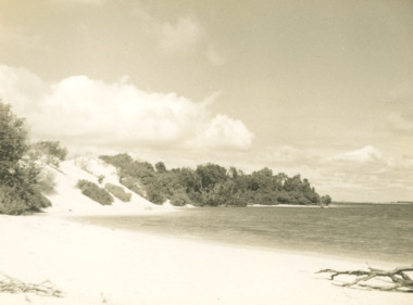 Photograph - sand hummocks Lakes Entrance Victoria c1952, L Carpenter, 1952 c