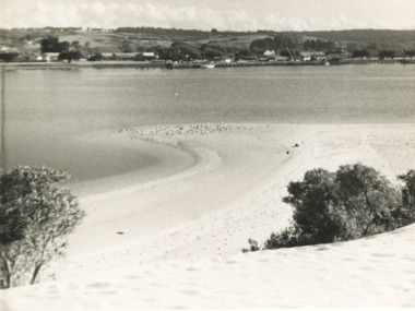 Photograph - sand hummocks  Esplanade Lakes Entrance c1950