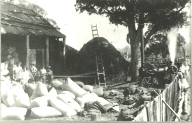 Photograph, Brodribb/Howlett, c1900