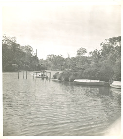 Photograph, Carpenter, Chinamans Creek Metung Victoria, 1/05/1955 12:00:00 AM