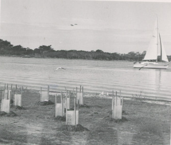 Photograph, Lakes Post Newspaper, Shaving Point Metung Victoria, 1/05/1992 12:00:00 AM