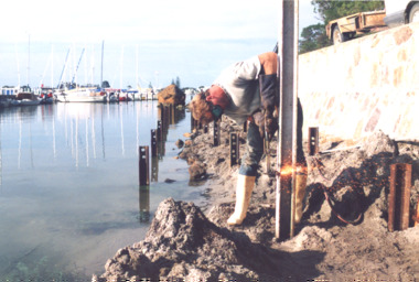 Photograph, Lakes Post Newspaper, Boardwalk Project Metung Victoria 1999, 1/02/1999 12:00:00 AM