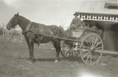 Photograph, Swans Butcher Swan Reach Victoria, 1920 c