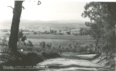 Photograph - Tambo River flats Bruthen Victoria, H D Bulmer, 1945 c