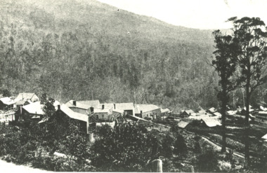 Photograph - Sunnyside, Mt Wills, Omeo Victoria c1907