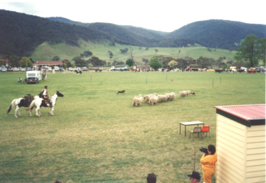 Photograph - Agricultural Show Omeo Victoria 1993, Lakes Post Newspaper