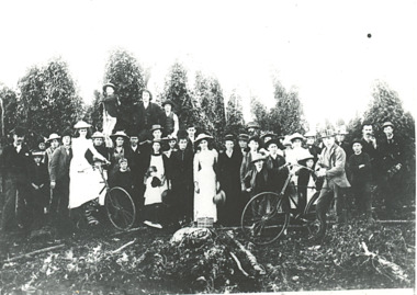 Photograph - Hop pickers  East Gippsland, Victoria c1910
