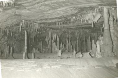 Photograph - Buchan Caves stalagmites  Buchan Victoria, 1940 c