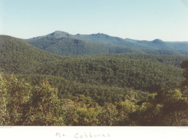 Photograph - Wombargo Saddle, Mt Cobberas Victoria, Bessie Larkin, 2/04/1994 12:00:00 AM