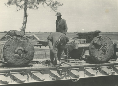 Photograph - bullock wagon at East Gippsland Historical Society Bairnsdale Victoria, G A Legg, 1975 c