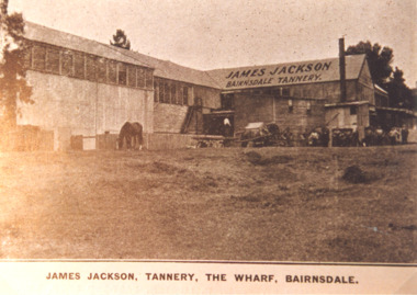 Photograph - James Jackson Tannery Bairnsdale Victoria, 1930 c