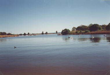 Photograph - Mitchell River, Eagle Point Victoria