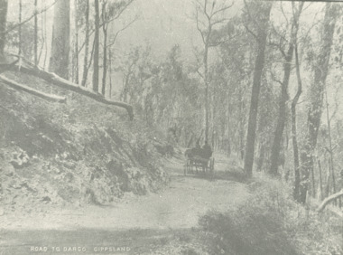 Photograph - road to Dargo Victoria, 1900 c