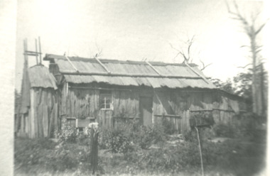 Photograph - Bark hut at Lake Tyers area Victoria, 1900 c