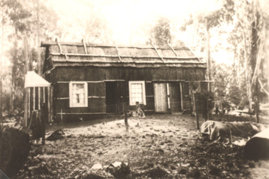 Photograph - Northropes Bunga Haven Lake Bunga Victoria c1904, H D Bulmer, Northropes Bunga Haven Lake Bunga Victoria, 1904 c
