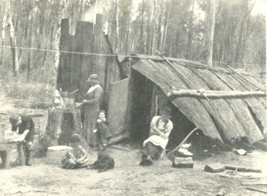 Photograph - Bark hut near Nowa Nowa Victoria, H D Bulmer, 1910 c