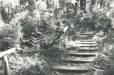 Photograph - Steps at Blackfellows Arm Lake Tyers area Victoria, Lakes Post Newspaper, 1994