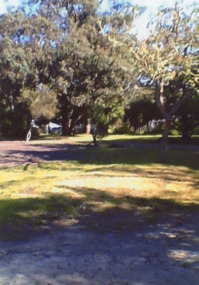 Photograph - Oneonta Lake Tyers Beach Victoria, 2016 c
