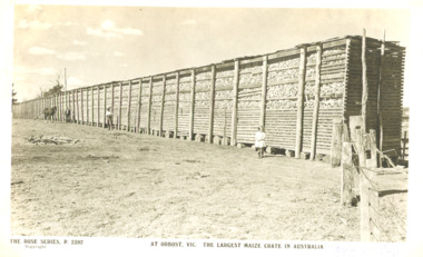 Postcard - maize crib, Orbost Victoria, Rose series p 2392, 1923