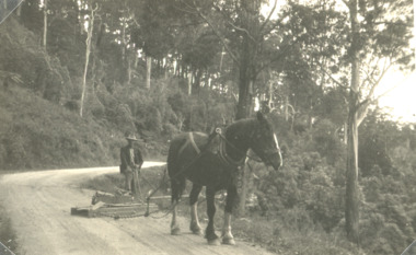 Photograph, Road repairs near Bonang Victoria, 1930 c