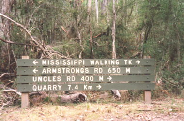 Photograph, Davies Judy, walking tracks in Colquhoun Forest,  East Gippsland, c2000