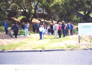 Photograph, John Street Rain Forest Revegetation Reserve, Lakes Entrance Victoria, 2000 c
