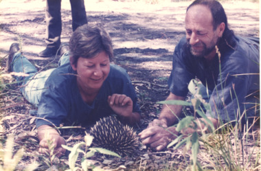 Photograph, Wyangara Nature Sanctuary, Toorloo Arm Victoria, 1997