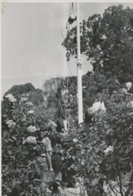 Photograph - Australia Day 1992, Lakes Post Newspaper, 1/01/1992 12:00:00 AM