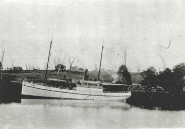 Photograph, The Bellbird on the Tambo River Johnsonville Victoria, 1906 c
