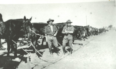 Photograph, Horses and two attendants in a desert location WW1 Egypt, 1916 c