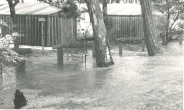 Photograph, Bairnsdale Advertiser, East Gippsland Floods 1988, 1/11/1988 12:00:00 AM