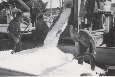 Photograph, Hancock, Hancocks Ice crusher truck,  Lakes Entrance Victoria, 1952