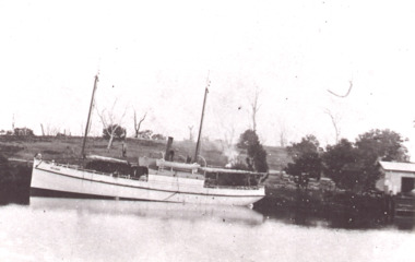 Photograph, SS Bellbird , Tambo River at Johnsonville