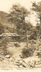 Photograph - Post card Rose series 3643 Warburton, Rose Stereographers Armadale Victoria, Yarra River, Warburton Victoria, 1920 - 30 c