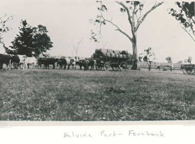 Photograph - Wool Wagon, Delvine Park sheep station Lindenow Victoria, 1890 c