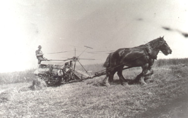 Photograph - Collemondah Kalimna West c1925, Thorpe Burne Snr