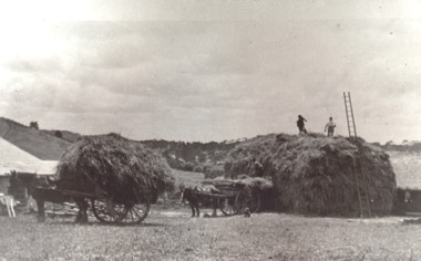 Photograph - haystack, Kalimna West Victoria, 1925 c