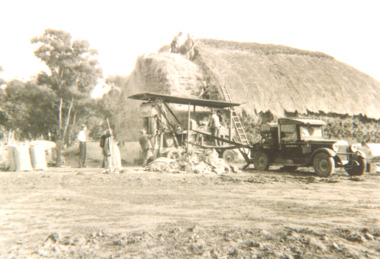 Photograph - haystack under construction, Victoria, 1938 c
