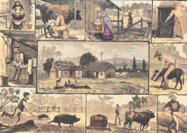 Postcard - Illustrated Australian News 1882, Tivoli Card and Paper, The Free Selector at Home