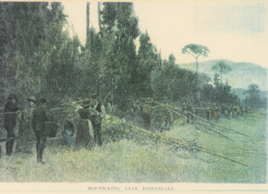 Postcard - Hops picking, Bairnsdale Victoria, Pictorial Atlas of Australia, 1889 c