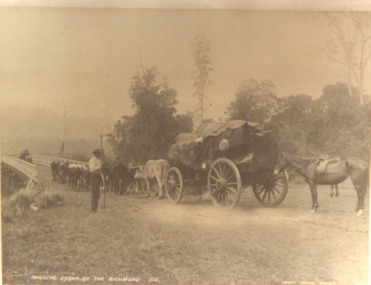Postcard - Timber Industry, Kerry Photographics Sydney, Hauling Cedar.  Richmond R. NSW, 1910 c