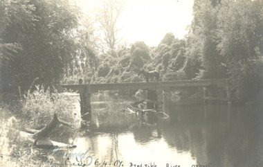 Postcard - Brodribb  River Bridge, Sherwood, Orbost, 1907 c
