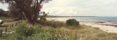 Photograph - Car park, M Fish, Cape Conran Victoria, 2000