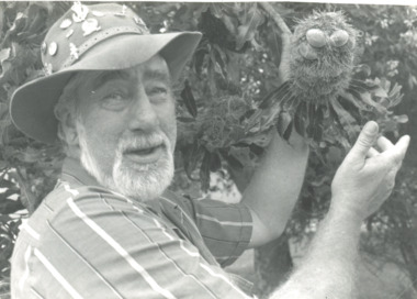 Photograph - Festival of Forest Flowers and Folk, Lakes Post Newspaper, Mallacoota Victoria, 1/10/1997 12:00:00 AM