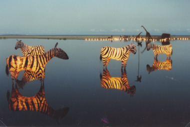 Photograph - Betka Beach Ritual, Steve Wadsworth, Mallacoota Victoria, 1997