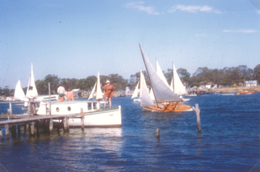 Photograph - Yacht Races, K Scarce, Paynesville Victoria, 1975 c