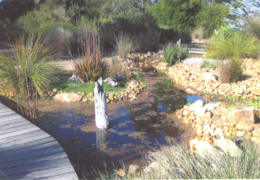 Photograph - Jan Donan's Eagle Point Victoria, Eileen Donan, 2010