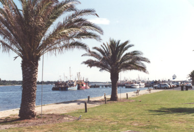 Photograph - Cunninghame Arm, L E Tidy Town Committee, Lakes Entrance Victoria, 1994 c